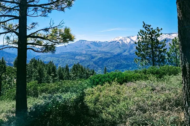 Big Bear Valley Nature Hike - Image 5