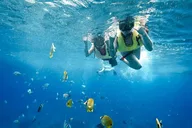 West Oahu Dolphin and Turtle Swim Tour thumbnail 6