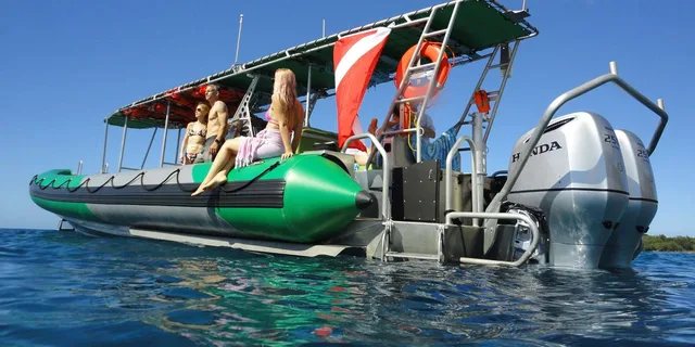 Ka'anapali Whale Watching Tour - Image 2