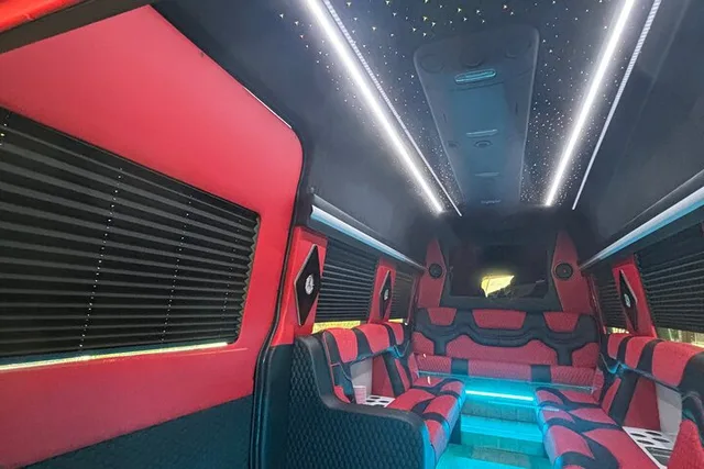 New York Taxi and Limousine Experience - Image 5