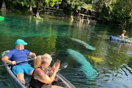 Silver Springs Clear Kayak Wildlife Adventure thumbnail 3