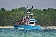 Pensacola Beach Dolphin Sightseeing Cruise thumbnail 6