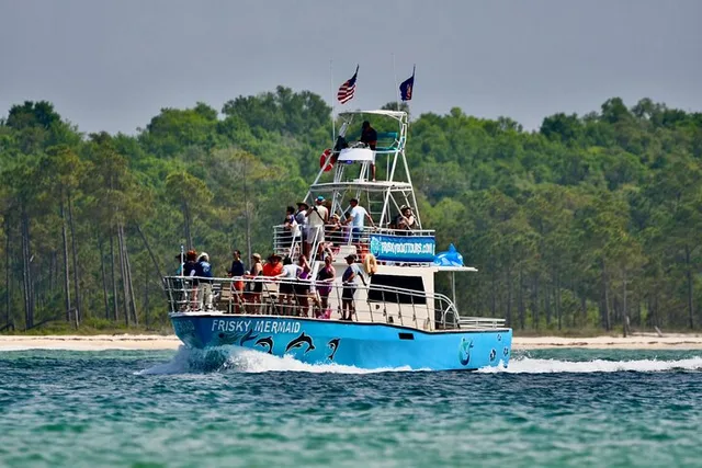 Pensacola Beach Dolphin Sightseeing Cruise - Image 6