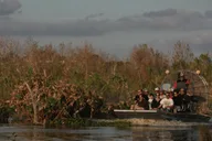 Fort Myers Everglades Day Safari thumbnail 6