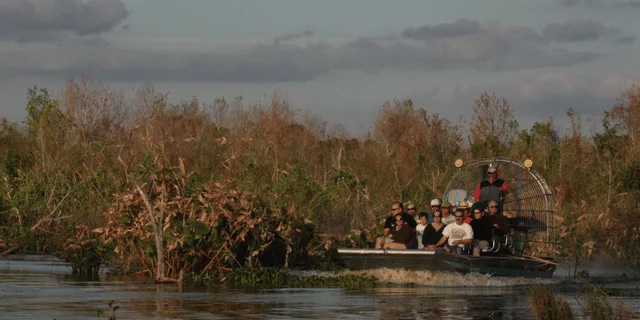 Fort Myers Everglades Day Safari - Image 6