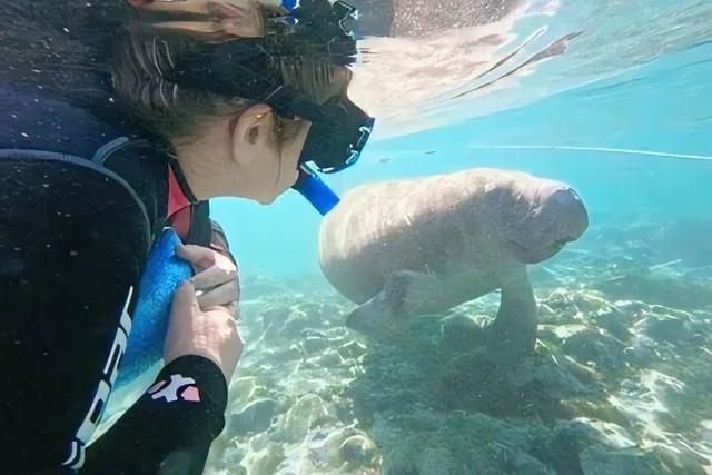 Crystal River Manatee Swim Tour with Heated Boat - Image 4