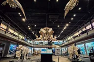 Oklahoma City Museum of Osteology Ticket thumbnail 5