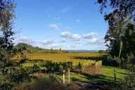 San Francisco Vineyards and Wine Tour 5 Days thumbnail 6