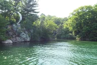 Clayton Islands Boat Tour 2 hr thumbnail 5