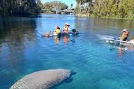 Silver Springs Manatees and Monkeys Kayak Tour thumbnail 2