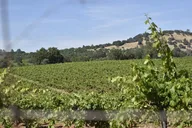 Placerville Wine Tasting Tour thumbnail 6