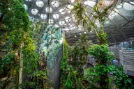 San Francisco Golden Gate Park and California Academy Tour thumbnail 2