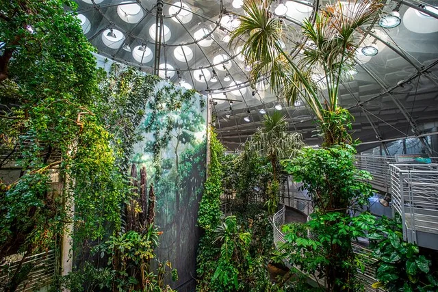 San Francisco Golden Gate Park and California Academy Tour - Image 2