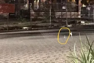 Helen Ghost Tour with Paranormal Equipment 90 min thumbnail 5