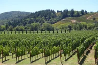 Napa & Sonoma Private Wine Tour 8-10 Hours thumbnail 3