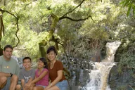 Maui Rainforest and Waterfall Walk & Swim thumbnail 6