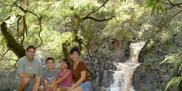 Maui Rainforest and Waterfall Walk & Swim - Image 6