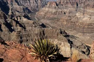 Las Vegas Grand Canyon Skywalk Tour with French Guide thumbnail 3