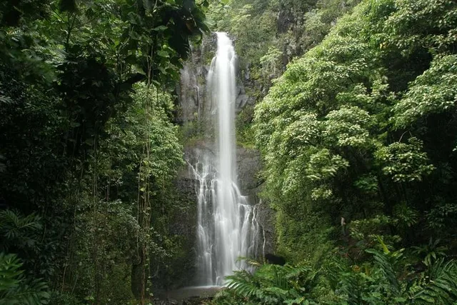 Lahaina Road to Hana Slingshot Adventure - Image 5