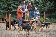 Two Rivers Sled Dog Experience thumbnail 3