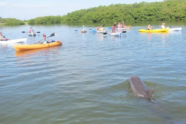 Cocoa Beach Kayaking Tour with Manatee and Dolphin - Image 5