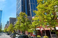 Raleigh Historian-Guided Downtown Walking Tour thumbnail 4