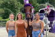 NYC Central Park Horse Carriage Ride thumbnail 2