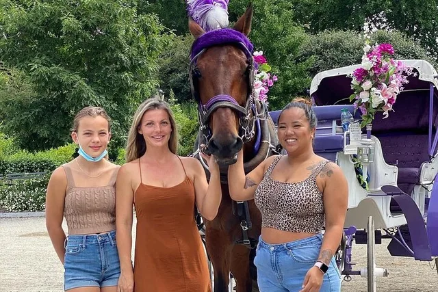 NYC Central Park Horse Carriage Ride - Image 2