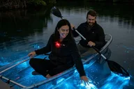 Orlando Bioluminescence Kayak Tour thumbnail 4