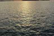Crystal River Backwater Eco & History Tour 1.5 hr thumbnail 4