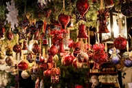 Buffalo Festive Highlights Private Tour thumbnail 6