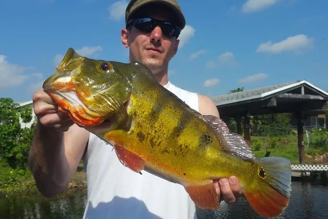 Boynton Beach Peacock Bass Fishing Trip - Image 2