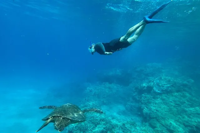 Maui Snorkel Tour with Photos 2.5 hr - Image 5