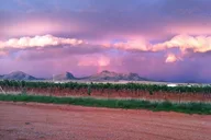 Tucson Wine Tasting Experience in the Desert thumbnail 1