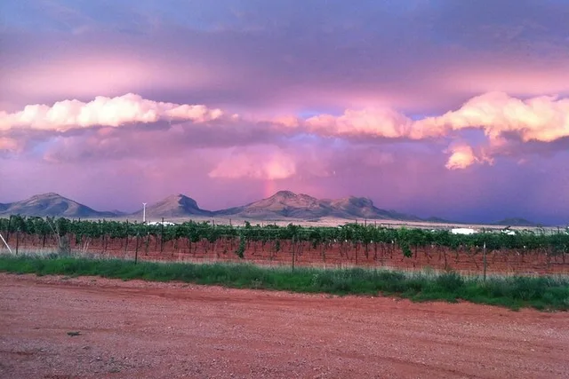 Tucson Wine Tasting Experience in the Desert - Image 1
