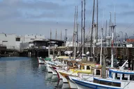 San Francisco Alcatraz and Fisherman's Wharf Walking Tour thumbnail 3