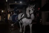 Charleston Haunted Horse-Drawn Carriage Tour thumbnail 3