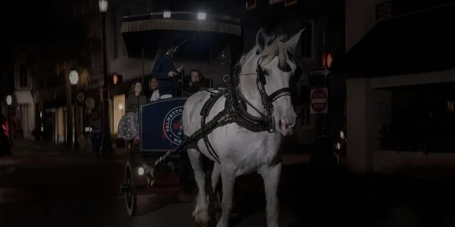 Charleston Haunted Horse-Drawn Carriage Tour - Image 3