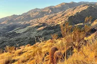 Palm Springs Sunrise Hike and Meditation thumbnail 3