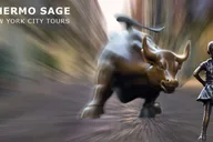 New York City Wall Street Walking Tour thumbnail 1
