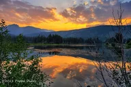 Rocky Mountain Wildlife Tour at Sunset thumbnail 2