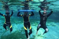 Crystal River Manatee Snorkeling Tour with Guide thumbnail 3