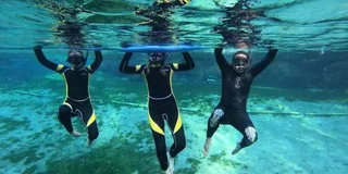 Crystal River Manatee Snorkeling Tour