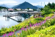 Sitka Private Land and Bear Tour thumbnail 3