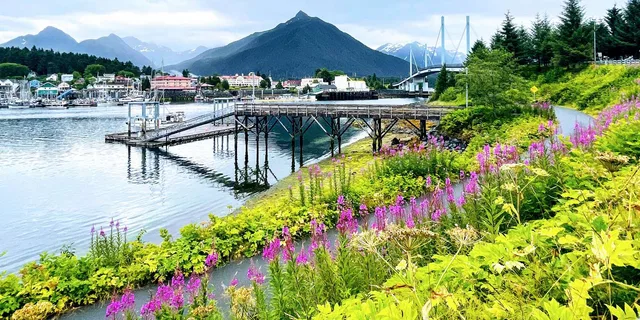 Sitka Private Land and Bear Tour - Image 3