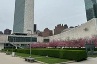 New York City Architecture Walking Tour thumbnail 4