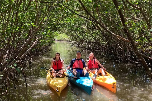 Fort Lauderdale Mangrove Kayak Eco Tour - Image 4