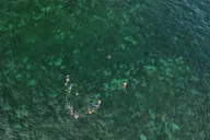 Lauderdale-by-the-Sea Snorkeling Adventure thumbnail 3