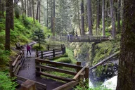 Port Angeles Guided Tour of Olympic National Park thumbnail 3