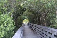 Marco Island Photography Tour thumbnail 2